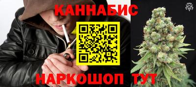 СК Рыбинск