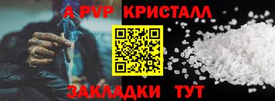 СК Рыбинск