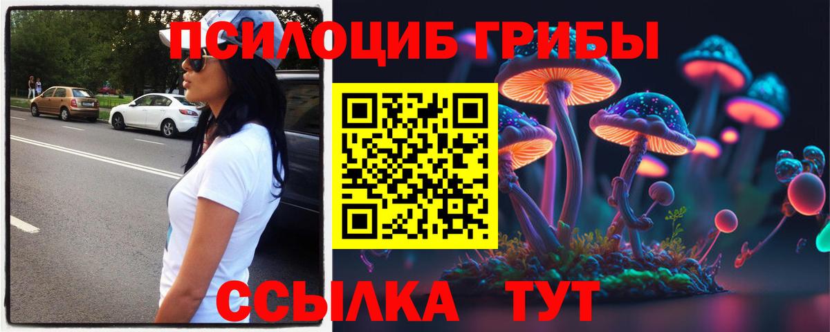 Псилоцибиновые грибы Psilocybine cubensis Ртищево