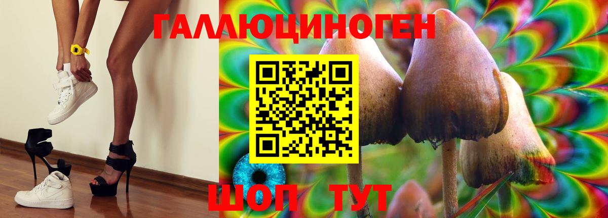 Ртищево  Псилоцибиновые грибы Psilocybine cubensis  Вход с VPN 